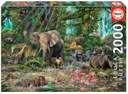 Puzzle 2000 piezas -Jungla Africana- Educa