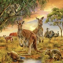 Puzzle 3 x 49 piezas -Animales del Mundo- Ravensburger