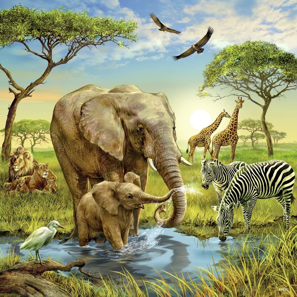 Puzzle 3 x 49 piezas -Animales del Mundo- Ravensburger