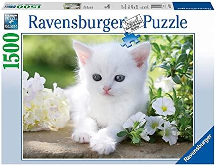 Puzzle 1500 piezas -Gatito Blanco- Ravensburger