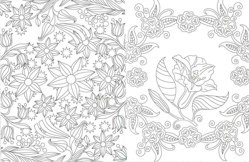 Dibujos de Flores para Colorear- Susaeta Ediciones