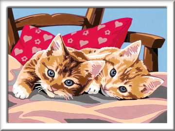 Set CreArt -Gatitos en la Almohada- Ravensburger