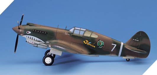 Avión 1/48 -P-40C- Academy