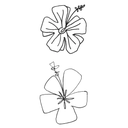 Placa Sellos Acrílicos -Hibiscus- 2,5 x 5,5 cm. Darice