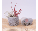 Pasta de Modelar Gris Air Dry Clay 250 gr. Jovi