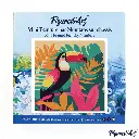Pintar Por Números -Tucán Tropical- Bastidor 20 x 20 cm. Figured´Art