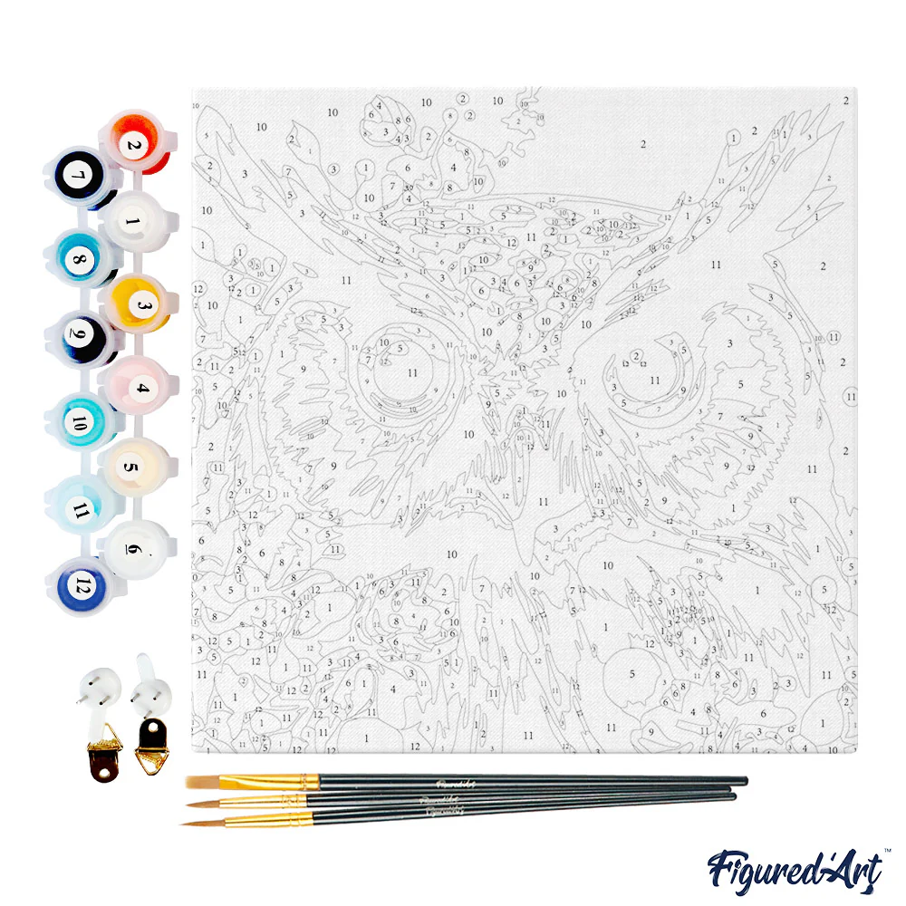 Pintar Por Números -Búho Fantasía con Flores- Bastidor 20 x 20 cm. Figured´Art