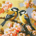 Pintar con Diamantes -Pareja de Pájaros entre Flores- Bastidor 25 x 25 cm. Figured´Art