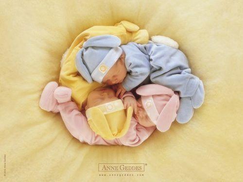 Puzzle 500 piezas -Sleeping Babies Nest- Educa