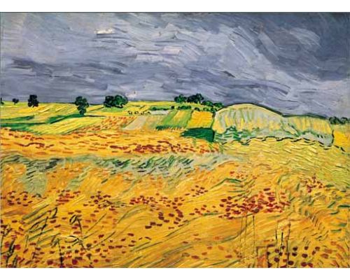 Puzzle 1000 piezas -Los Campos, Van Gogh- Ricordi