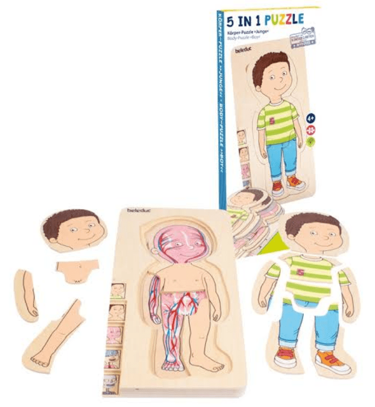 Puzzle Madera 5 en 1: Anatomía Masculina- Beleduc