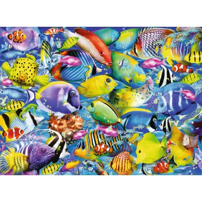 Puzzle 500 piezas -Peces Tropicales- Ravensburger