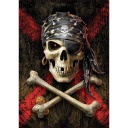Puzzle 500 piezas -Calavera Pirata- Educa