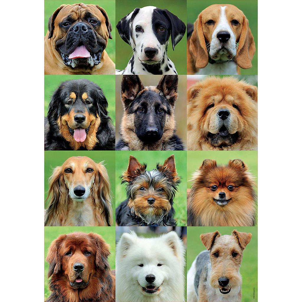 Puzzle 500 piezas -Collage de Perros- Educa