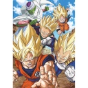 Puzzle 500 piezas -Dragon Ball- Educa