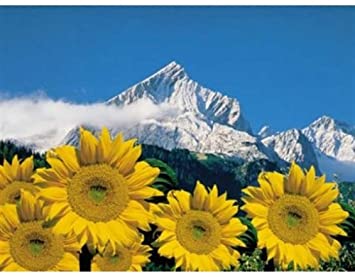 Puzzle 1000 piezas -Alpes Bávaros- Ravensburger
