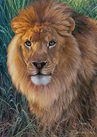 Puzzle 1500 piezas -El Rey de lo Animales- Ravensburger