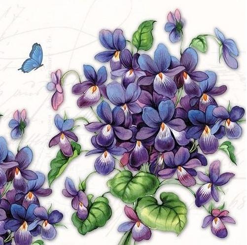 Servilleta 33 x 33 cm. -Viola-