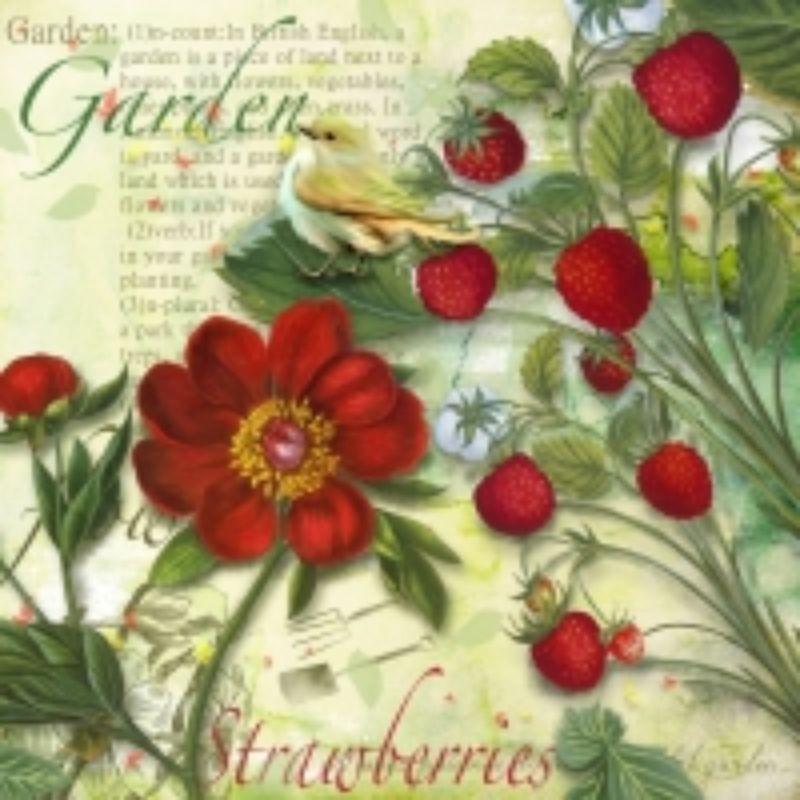 Servilleta 33 x 33 cm. -Frutos del Bosque-