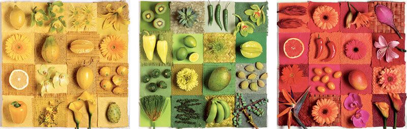 Puzzle 3 x 500 piezas -Exotic Fruits & Flowers- Educa