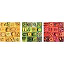 Puzzle 3 x 500 piezas -Exotic Fruits & Flowers- Educa