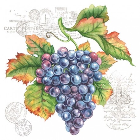 Servilleta 33 x 33 cm. -Grape Vine- Ambiente