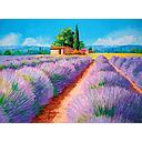 Puzzle 500 piezas -Lavanda- Clementoni