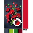 Puzzle 1000 piezas -Pantone: Goji Berry- Clementoni