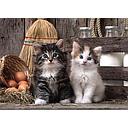 Puzzle 1000 piezas -Lovely Kittens- Clementoni