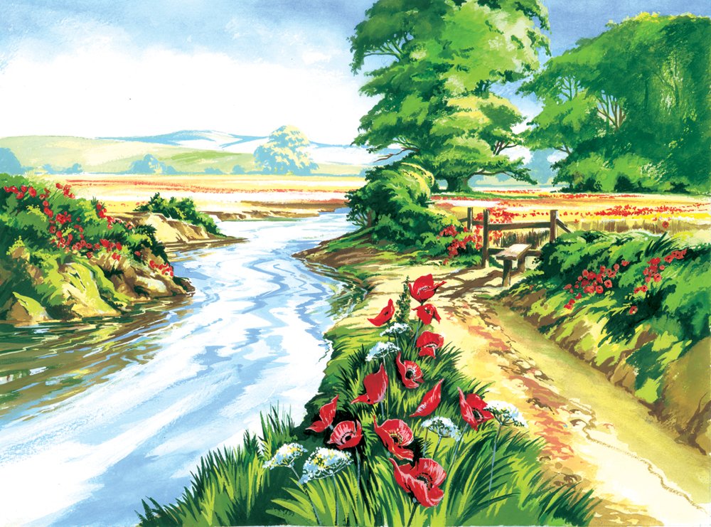 Pintar Por Números 32,4 x 40 cm. -Campo de Amapolas- Royal & Langnickel