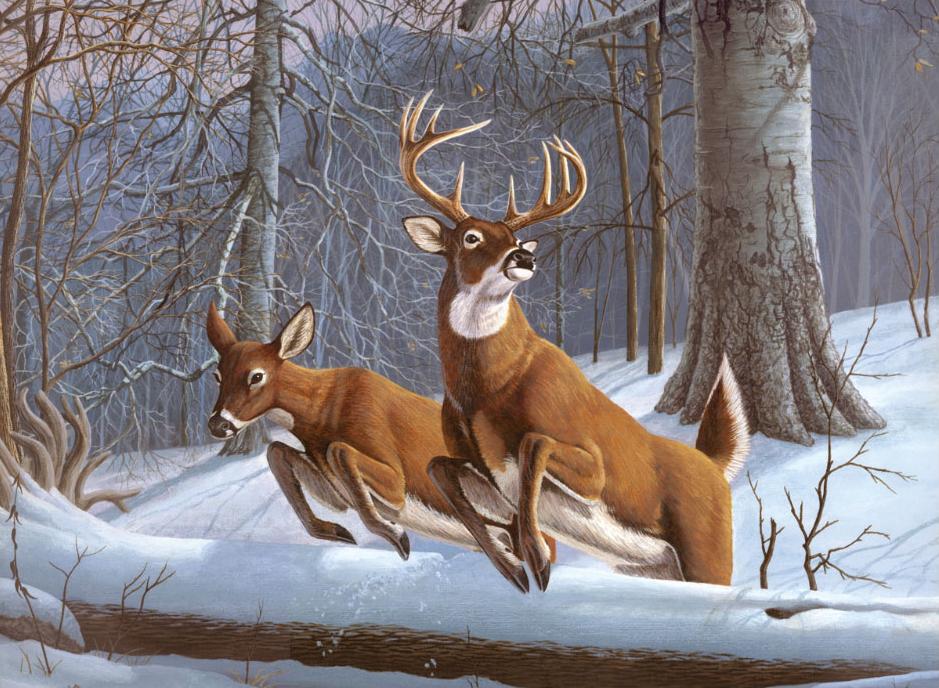 Pintar Por Números 32,4 x 40 cm. -Ciervos en la Nieve- Royal & Langnickel