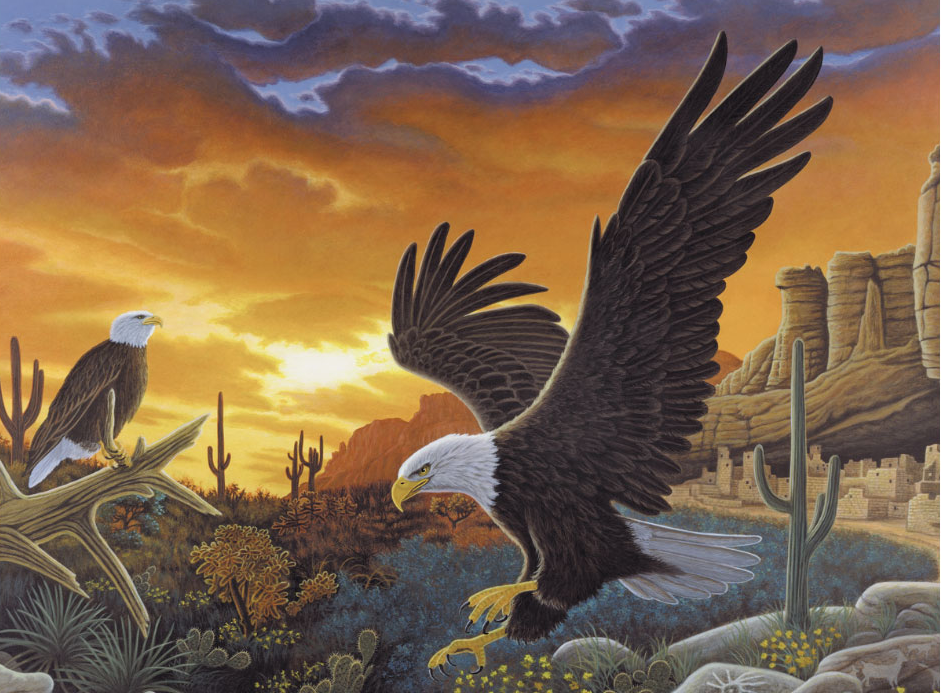 Pintar Por Números Junior 32,4 x 42 cm. -Aguilas- Royal & Langnickel