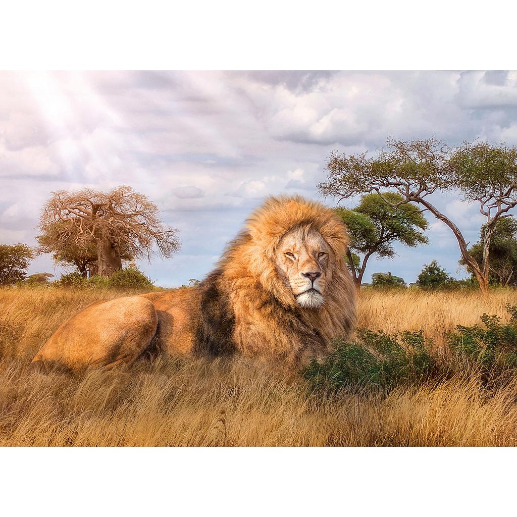 Puzzle 1000 piezas -The King- Clementoni