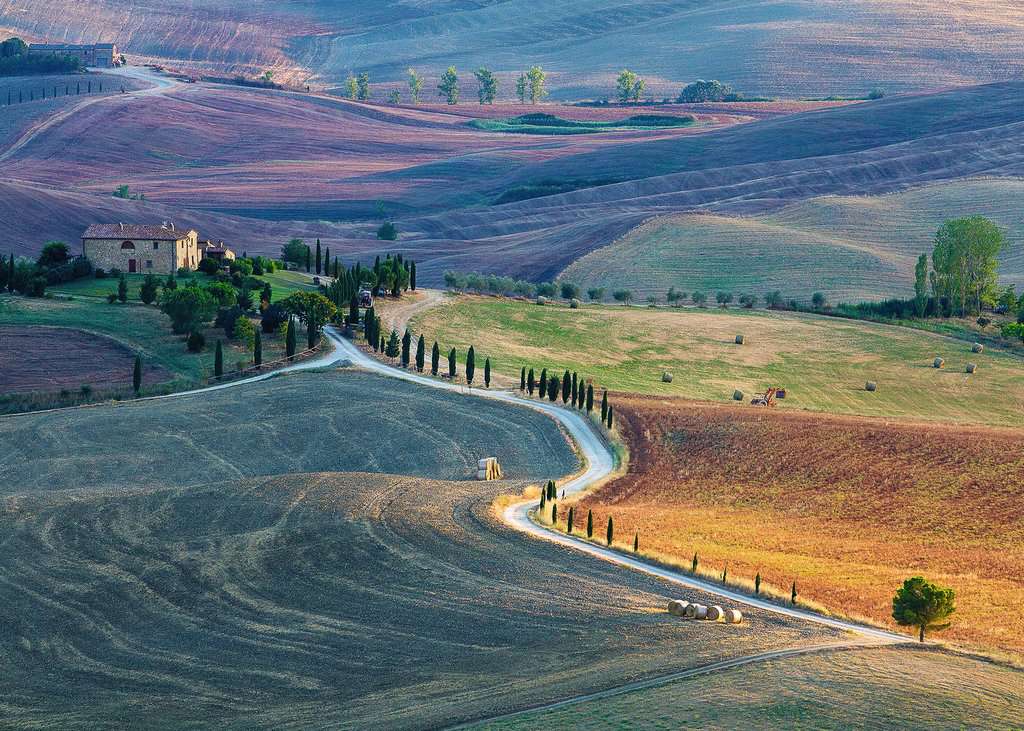 Puzzle 1000 piezas -Talent collecition: Podere Terrapille. Pienza. Siena.Toscana - Ravensburger