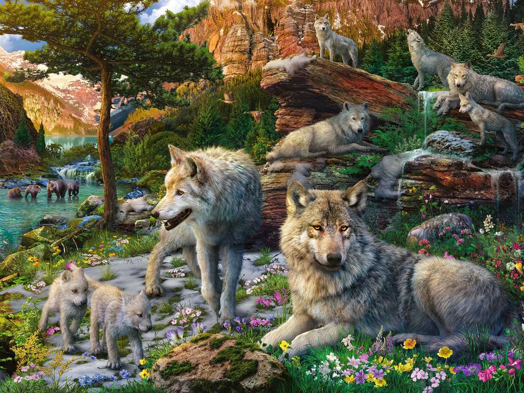 Puzzle 1500 piezas -Lobos en Primavera- Ravensburger