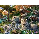 Puzzle 1500 piezas -Lobos en Primavera- Ravensburger