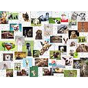 Puzzle 1500 piezas -Collage de Animales Divertidos- Ravensburger