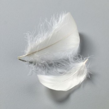 Plumas 8-10 cm. Vainilla (10 gr. 110 uds. aprox.)