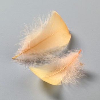 Plumas 8-10 cm. Naranja (10 gr. 110 uds. aprox.)