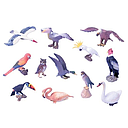 Set 12 Animales -Aves-