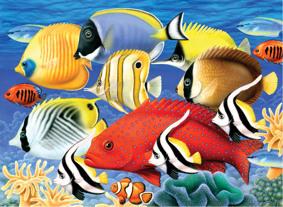 Pintar Por Números 32,4 x 40 cm. -Peces- Royal & Langnickel