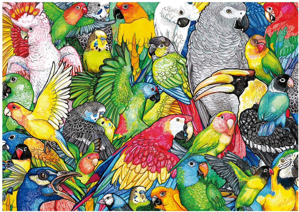 Puzzle 500 piezas -Loros- Educa