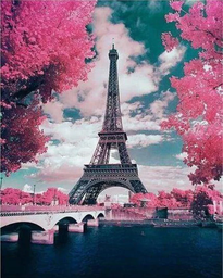 [CS-229] Set Punto de Cruz -Torre Eiffel en Flores- 32 x 40 cm. Figured´Art