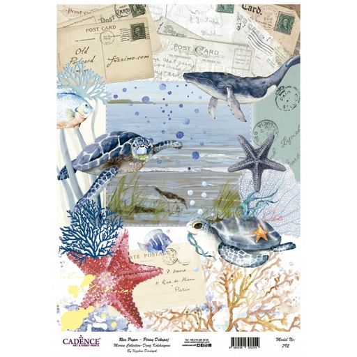 [PA792] Papel Arroz Decorado 30x40 cm. -Marino- Cadence