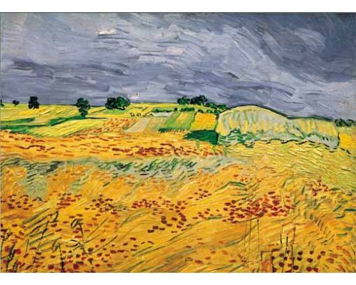 [15792] Puzzle 1000 piezas -Los Campos, Van Gogh- Ricordi