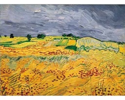 [15792] Puzzle 1000 piezas -Los Campos, Van Gogh- Ricordi