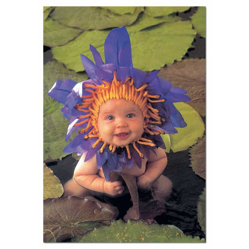 [12933] Puzzle 1000 piezas -Waterlily, Anne Geddes- Educa
