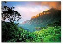 [13795] Puzzle 1500 piezas -Hawaii- Educa