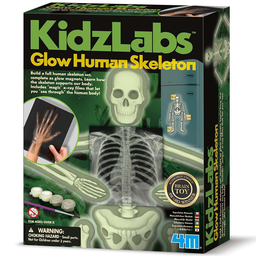 [03375] Kidzlabs -Esqueleto Humano Brillante- 4M