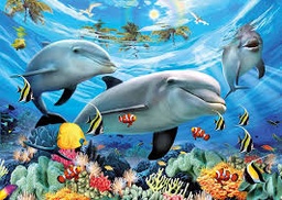 [13052 8] Puzzle 300 piezas XXL -Delfines- Ravensburger